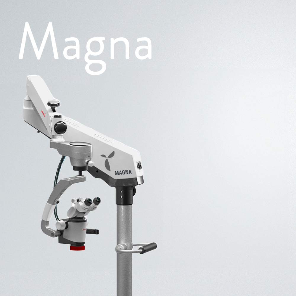 Magna